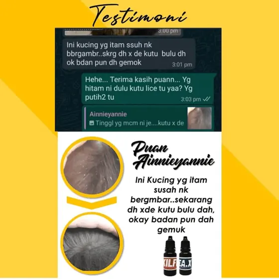 Sebelum dan selepas: bulu kembali elok, badan gemuk