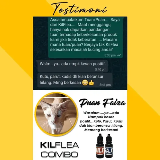 Komen: kutu, parut dan kudis beransur hilang