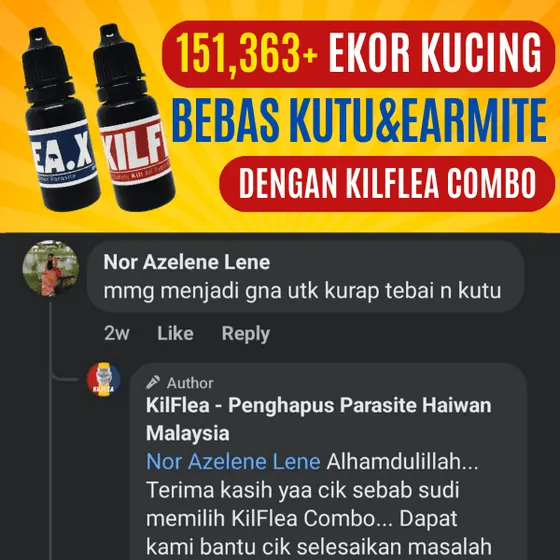 Komen Facebook: berkesan untuk kurap tebal dan kutu