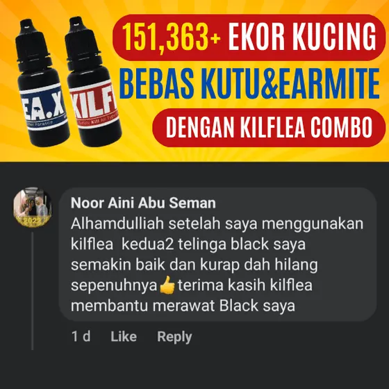Komen Facebook: telinga dan kurap hilang sepenuhnya