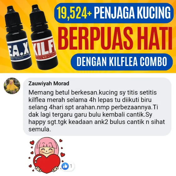 Komen Facebook: bulu kembali cantik, anak bulus sihat