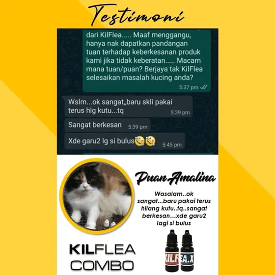 Komen: baru sekali pakai terus hilang kutu