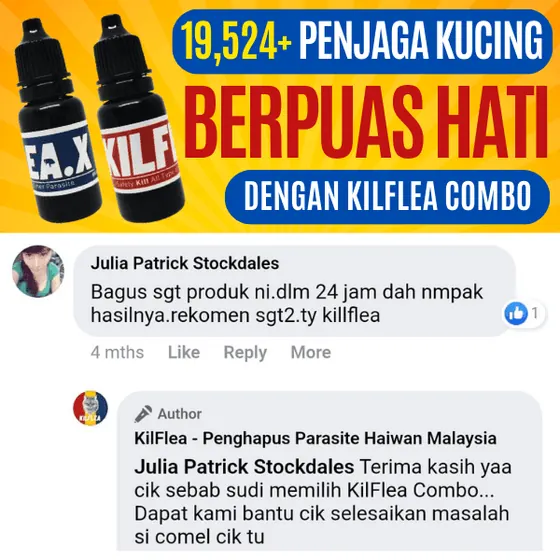 Komen Facebook: dalam 24 jam dah nampak hasil
