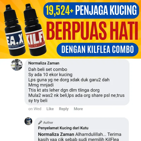 Komen Facebook: 10 ekor kucing tak garu lagi