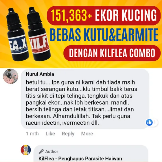 Komen Facebook: jimat dan berkesan