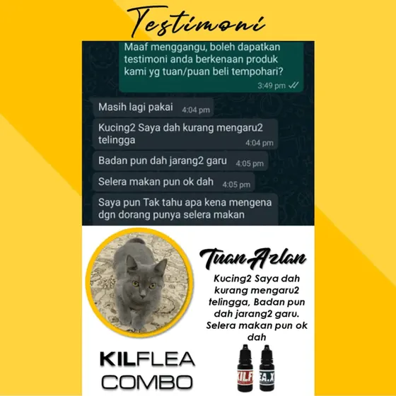 Testimoni: kucing-kucing kurang garu, selera makan ok