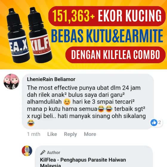 Komen Facebook: anak-anak bulus dah rilek dari garu