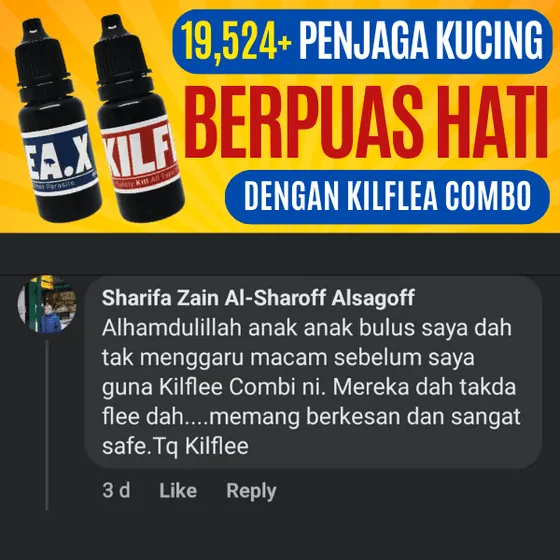 Komen Facebook: anak-anak bulus dah tak menggaru