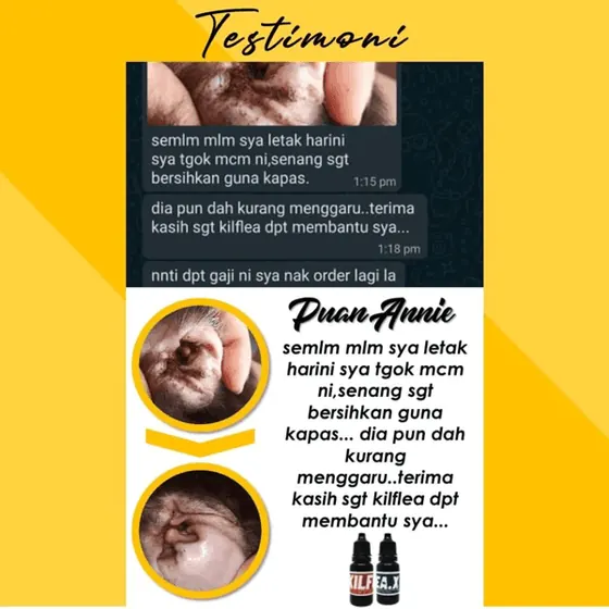 Sebelum dan selepas: telinga kotor kini bersih