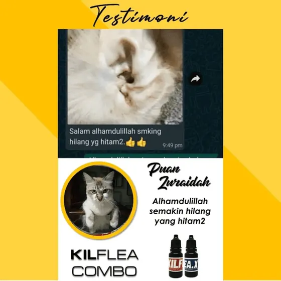 Komen: telinga hitam semakin hilang