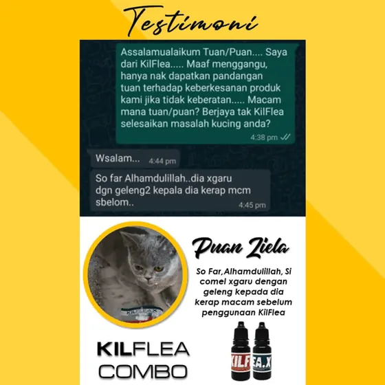 Komen: kucing dah tak geleng kepala