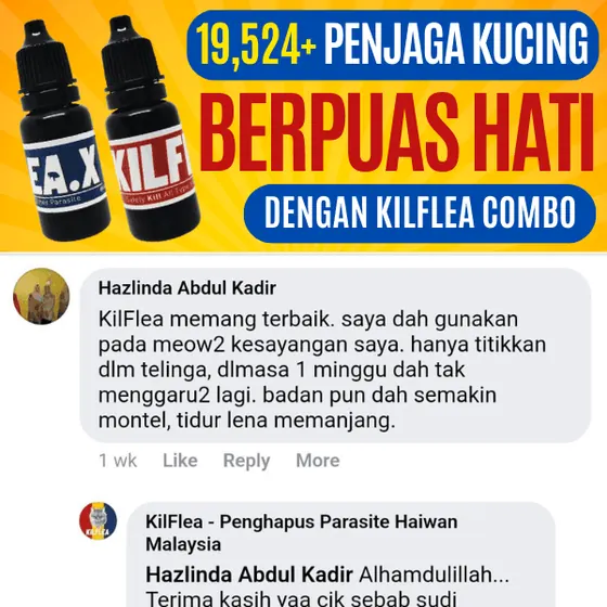 Komen Facebook: titik dalam telinga, seminggu dah tak garu