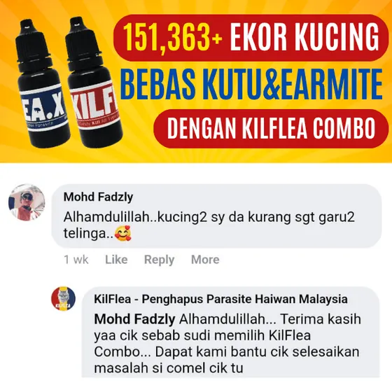 Komen Facebook: kucing-kucing kurang garu telinga