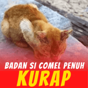 5-Penghapus-Parasit-KILFLEA-BIONEKO-kucing-bela-makanan-ubat-kutu-earmites-pet-food-pasir-kedai-haiwan-shop-kitten-wet