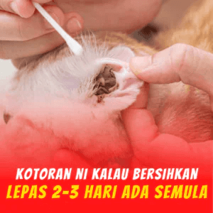 8-Penghapus-Parasit-KILFLEA-BIONEKO-kucing-bela-makanan-ubat-kutu-earmites-pet-food-pasir-kedai-haiwan-shop-kitten-wet