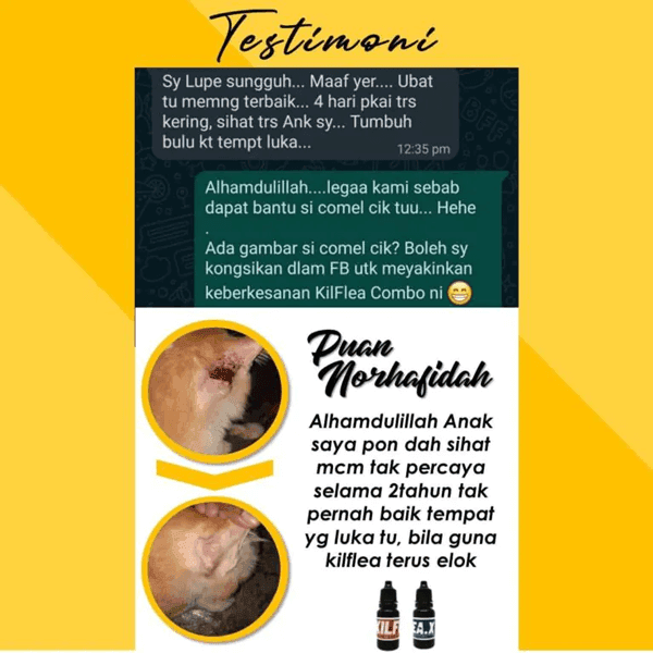 T1-KILFLEA-BIONEKO-kucing-bela-makanan-ubat-kutu-earmites-pet-food-pasir-kedai-haiwan-shop-kitten-wet