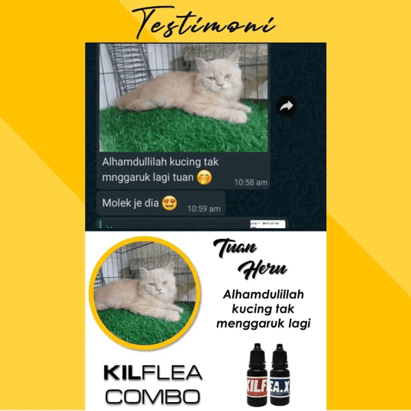 T6-KILFLEA-BIONEKO-kucing-bela-makanan-ubat-kutu-earmites-pet-food-pasir-kedai-haiwan-shop-kitten-wet