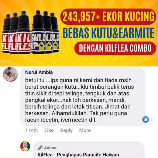 Komen Facebook Nurul Ambia: titis tepi telinga, tengkuk dan pangkal ekor