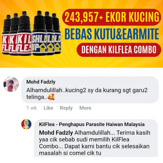 Komen Facebook Mohd Fadzly: kucing kurang garu telinga