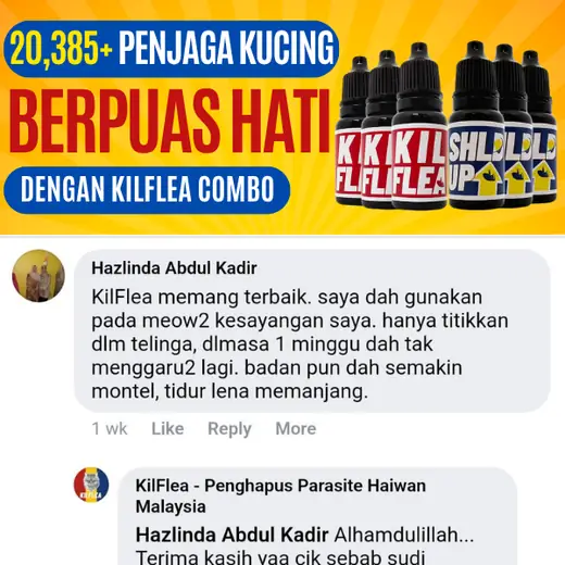 Komen Facebook Hazlinda: titik dalam telinga, seminggu dah tak menggaru