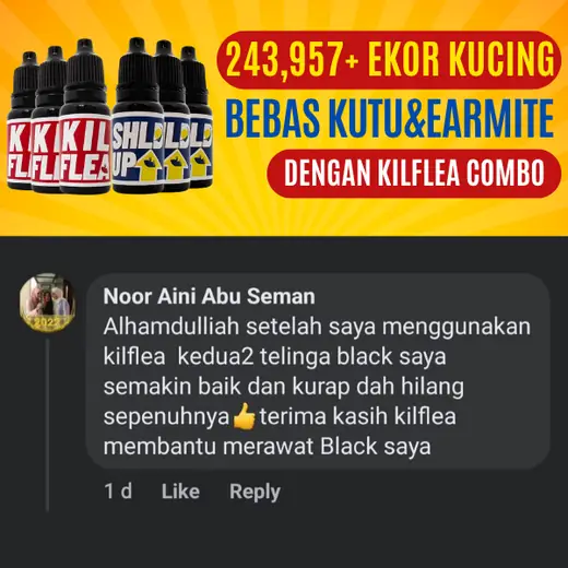 Komen Facebook Noor Aini: kedua-dua telinga Black semakin baik