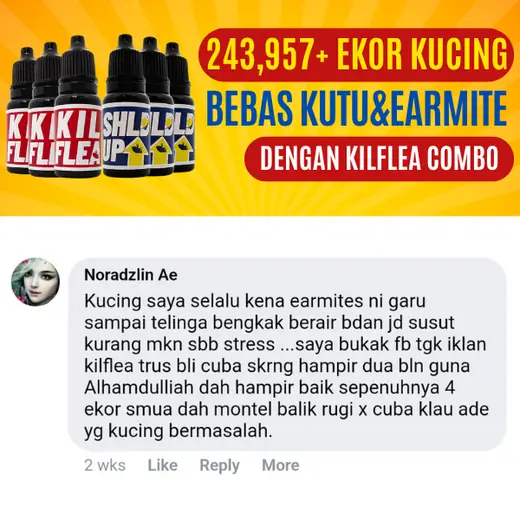 Komen Facebook Noradzlin: earmite 4 ekor, telinga bengkak berair kini montel balik