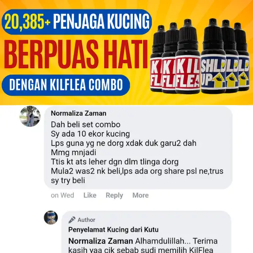 Komen Facebook Normaliza: 10 ekor, titis atas leher dan dalam telinga